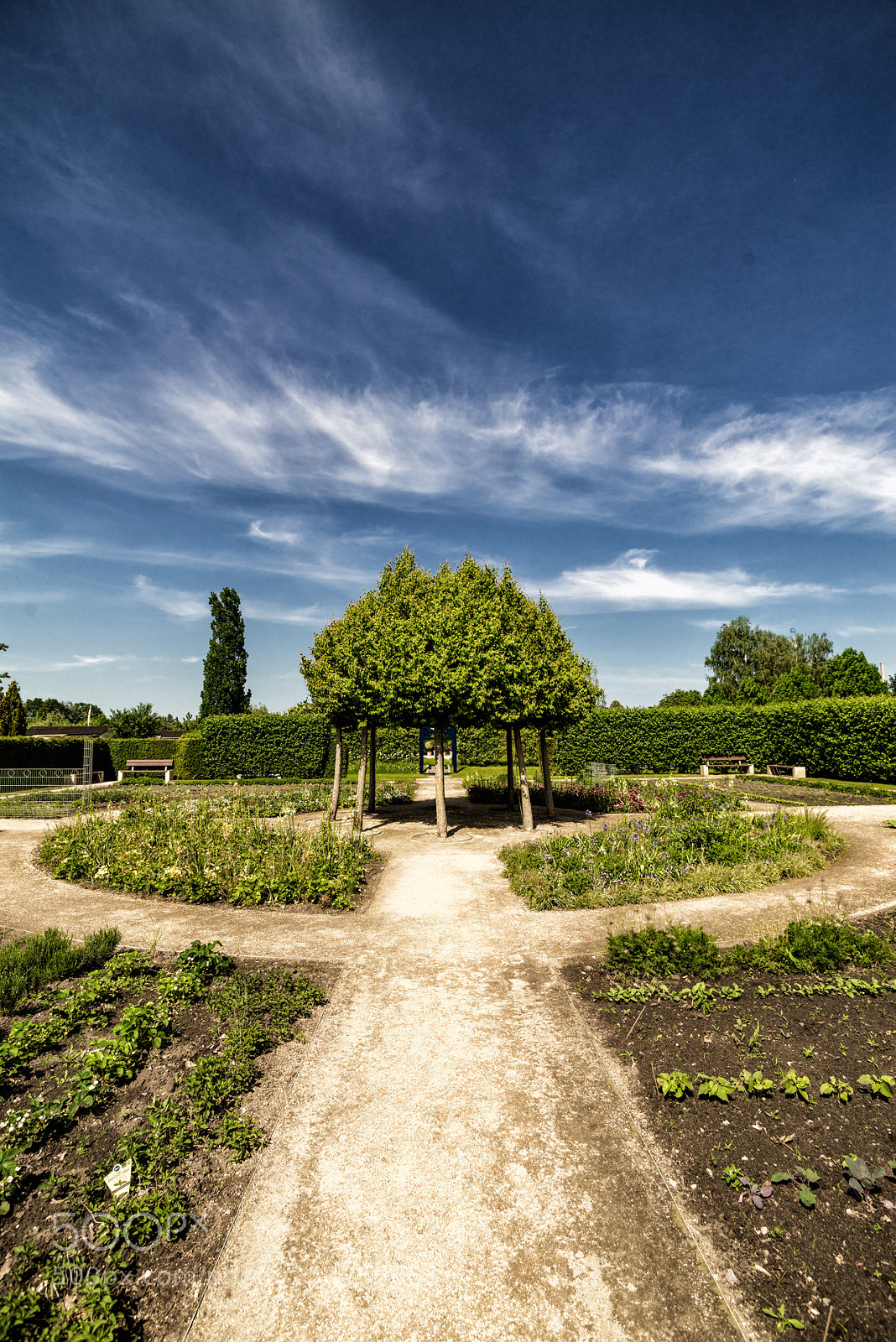 Sony a7R sample photo. Garden 1 photography