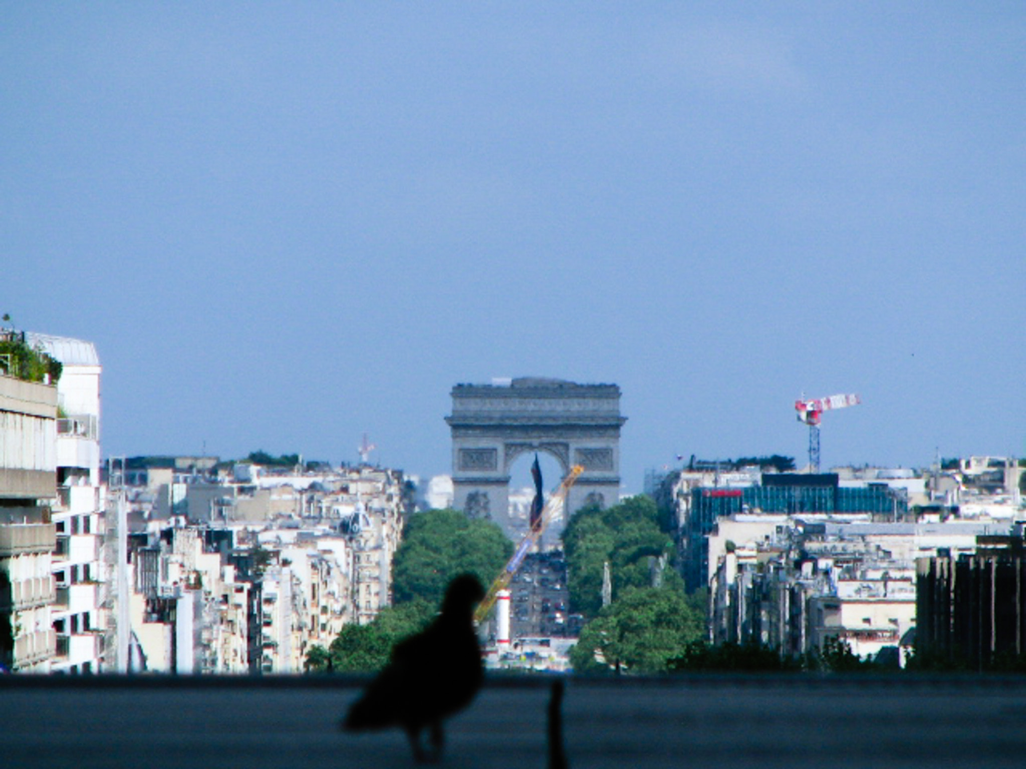 Canon POWERSHOT S3 IS sample photo. Triumphal arch and a friend photography