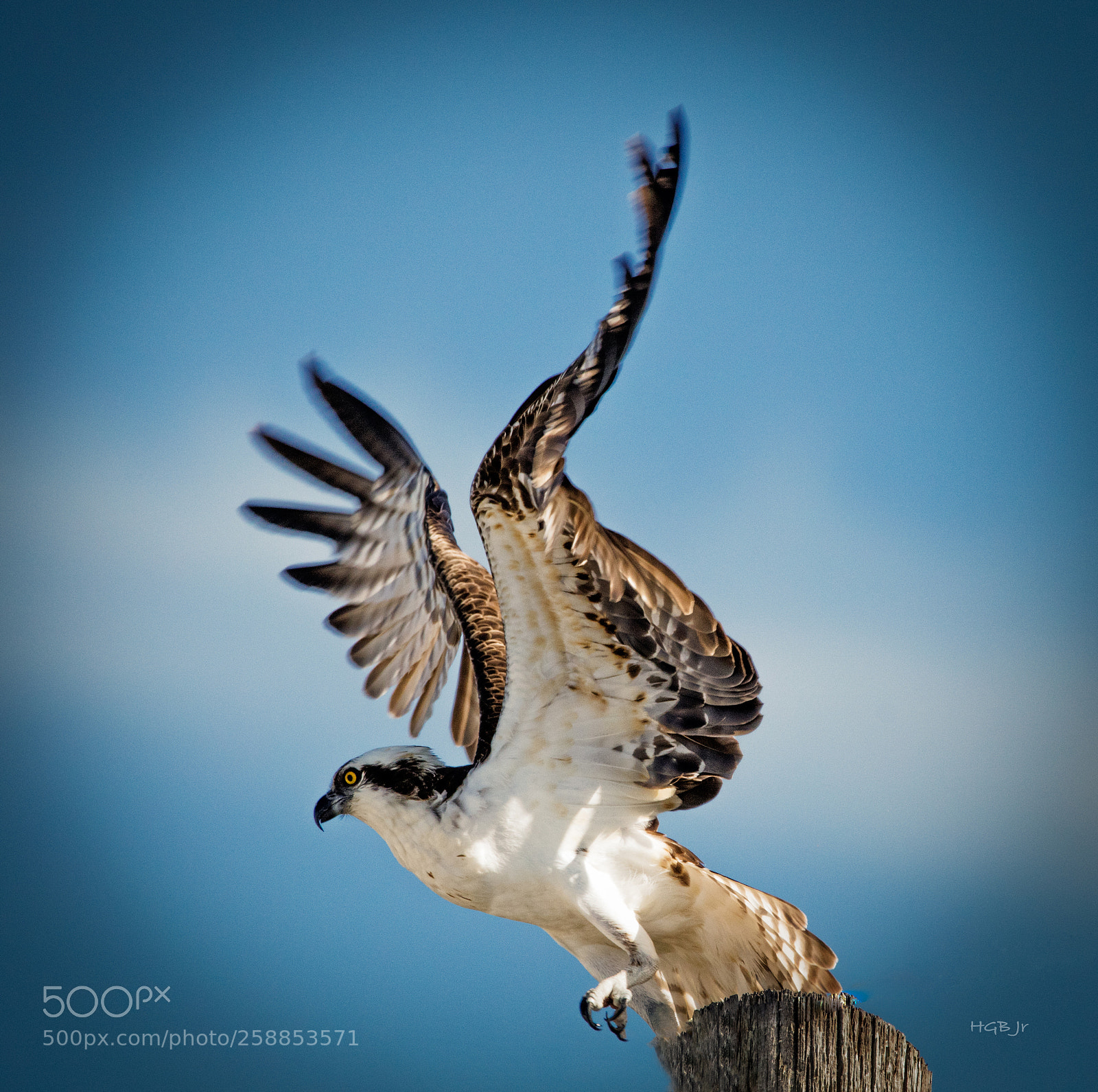 Canon EOS 5DS sample photo. Take-off photography