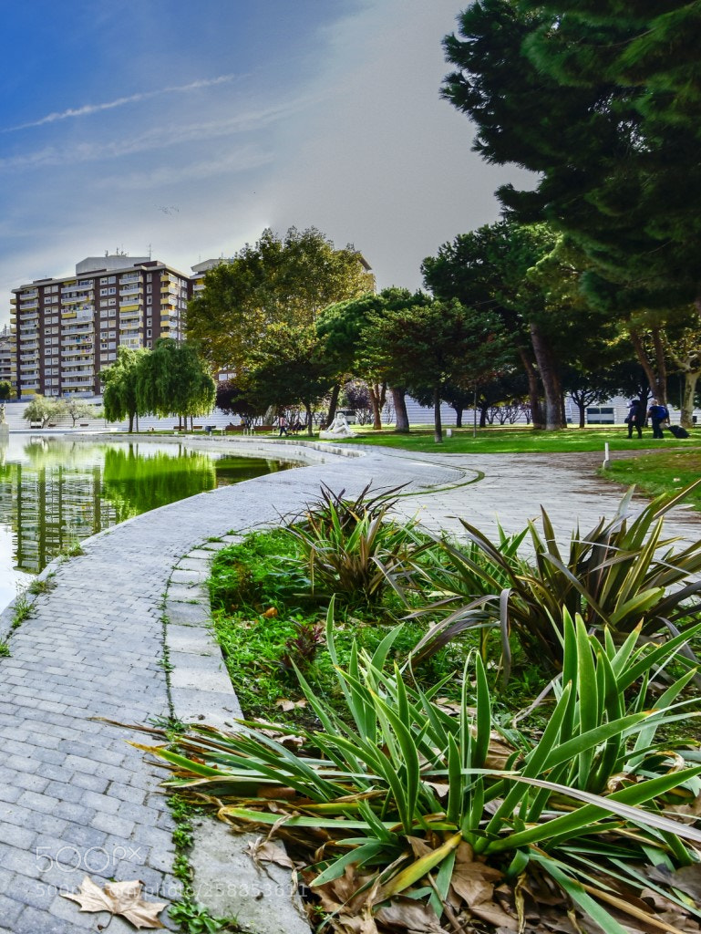 Nikon D7200 sample photo. Parque photography