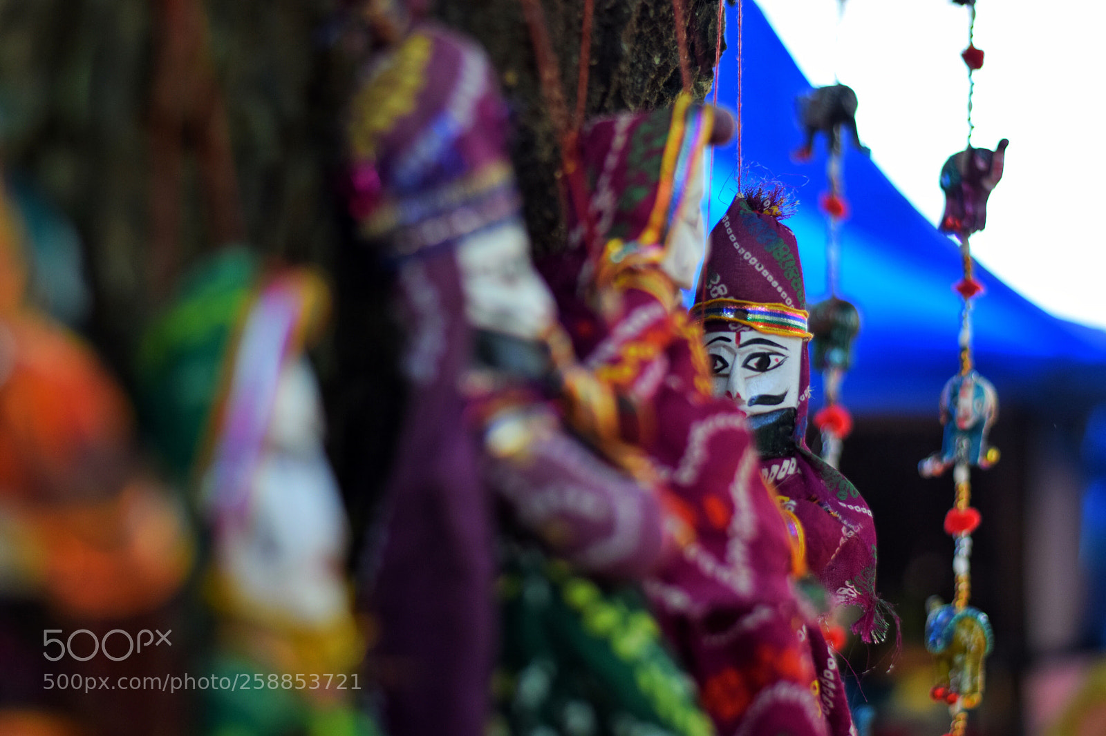 Nikon D3300 sample photo. Untitled photography