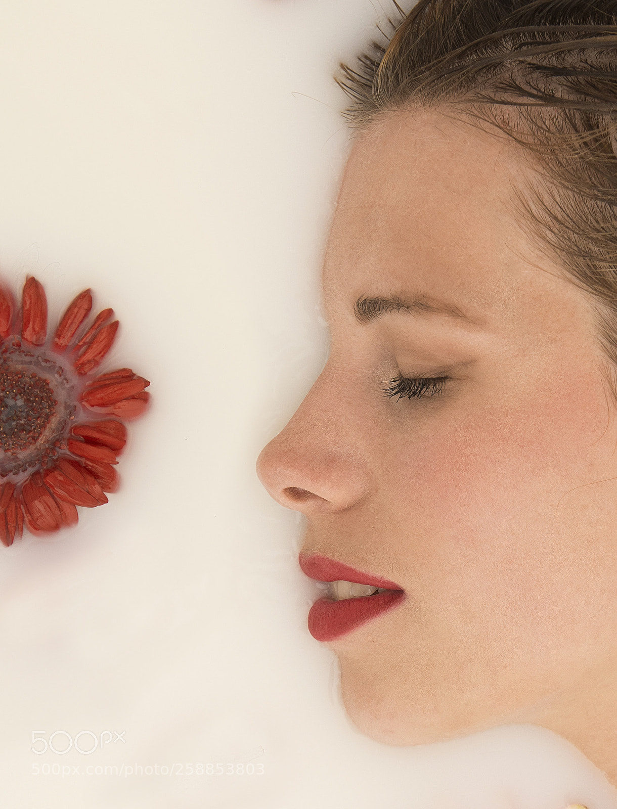 Nikon D810 sample photo. Half a face... half photography