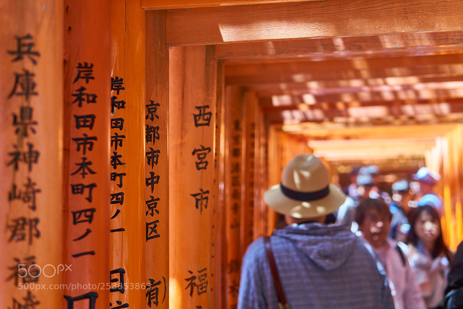 Sony a6000 sample photo. Torii tunnel photography