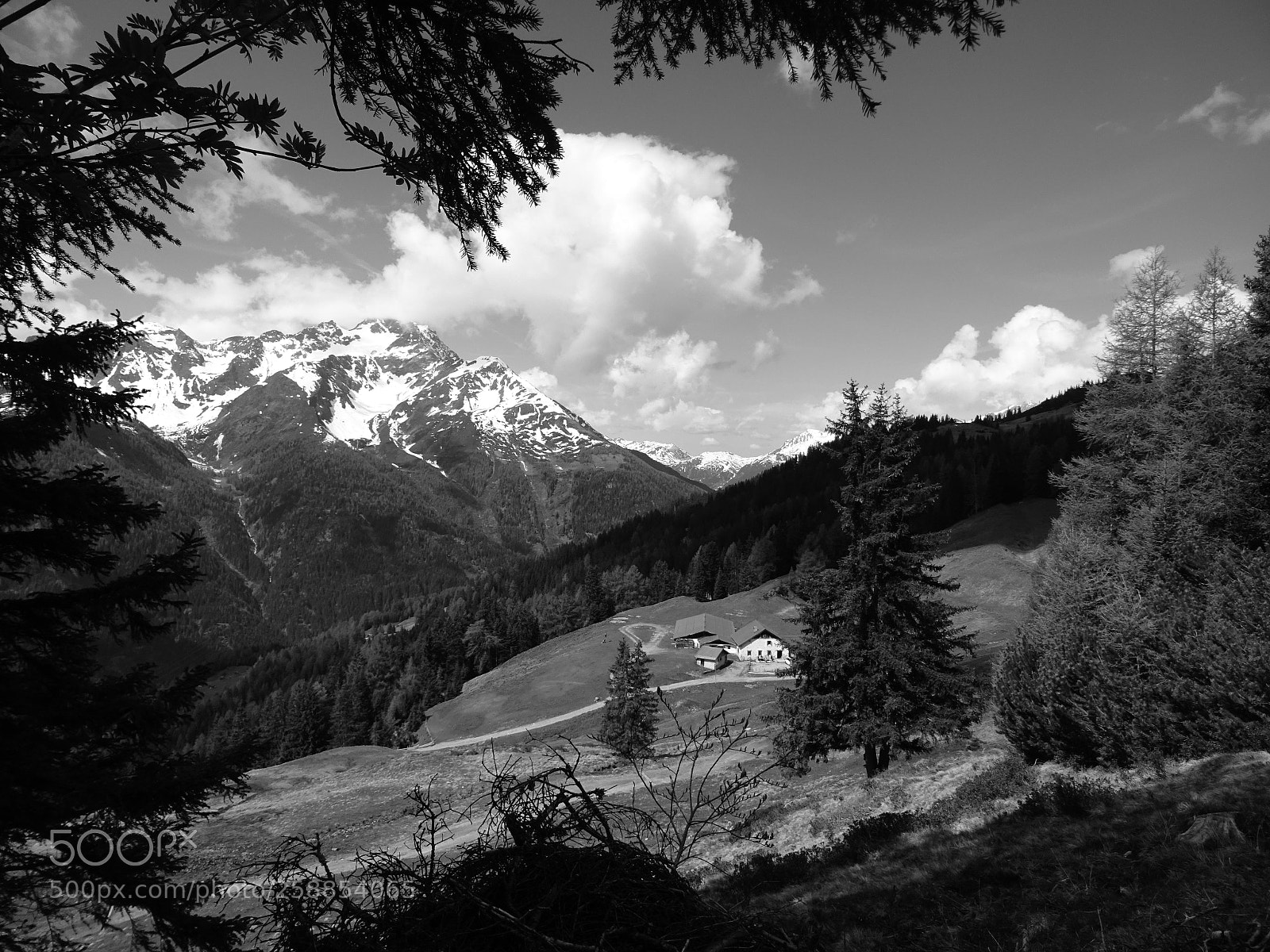 Sony DSC-HX60V sample photo. Alpe dawin (1819m) photography