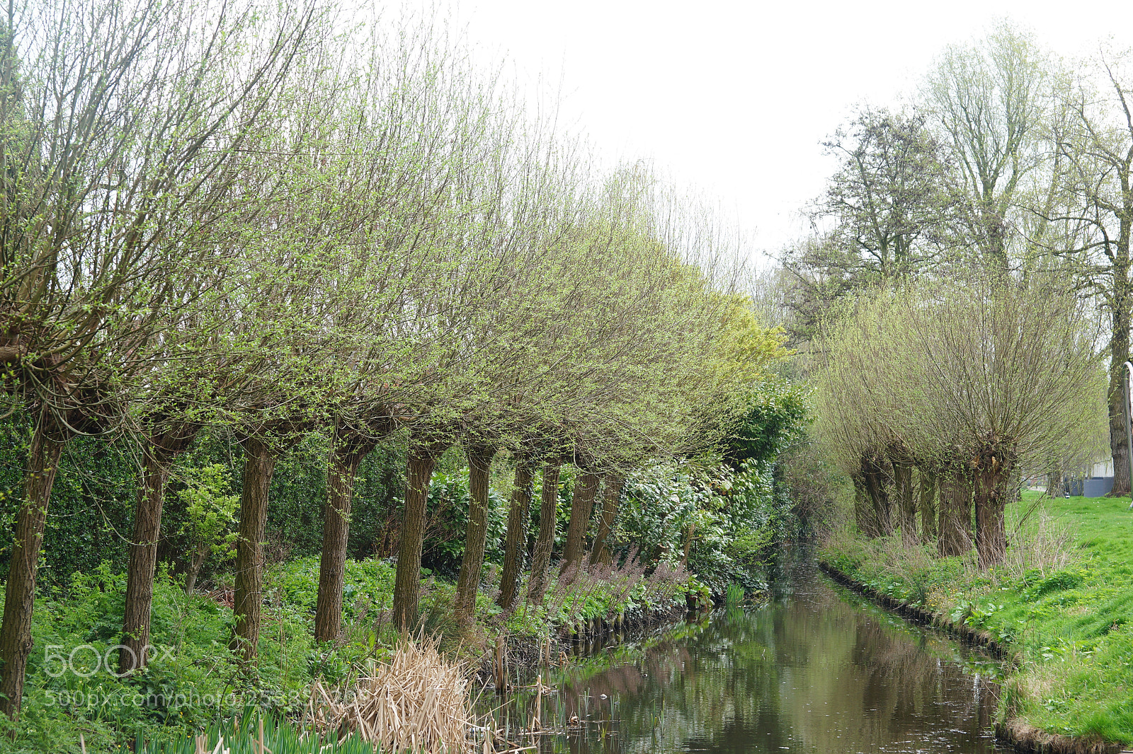 Sony SLT-A99V sample photo. Land van rise photography