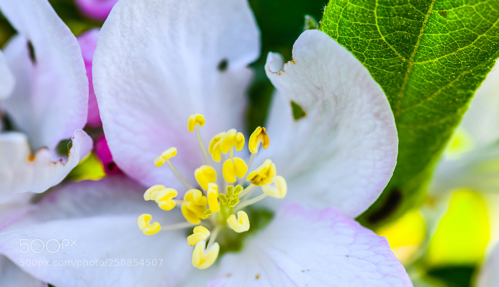 Nikon D850 sample photo. Glowing future photography