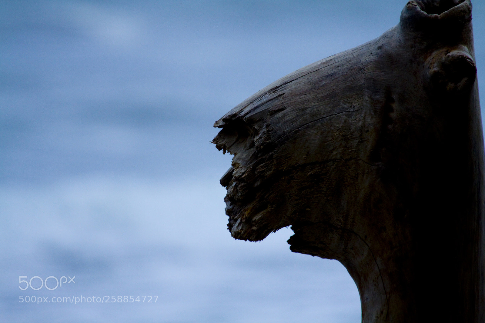 Canon EOS 50D sample photo. Wooden face photography