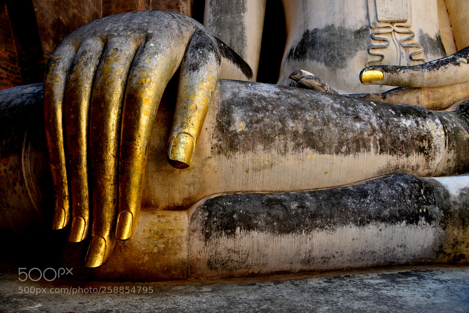 Nikon D800 sample photo. Hands of buddha in photography