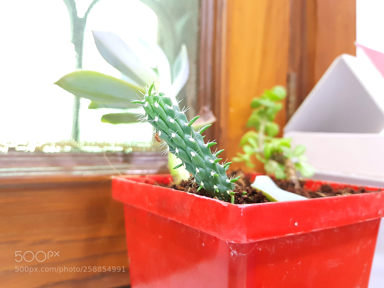 Samsung Galaxy S8 sample photo. Untitled photography