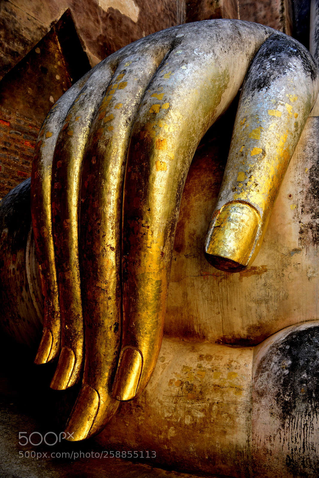Nikon D800 sample photo. Golden hand of buddha photography