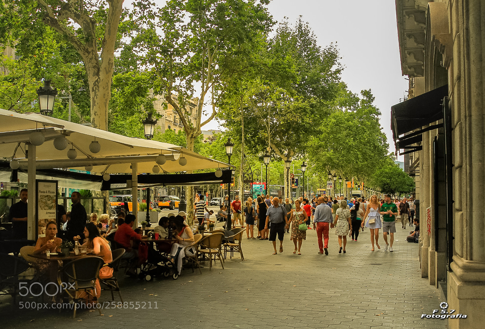 Canon EOS 7D sample photo. Passeig de gr cia photography