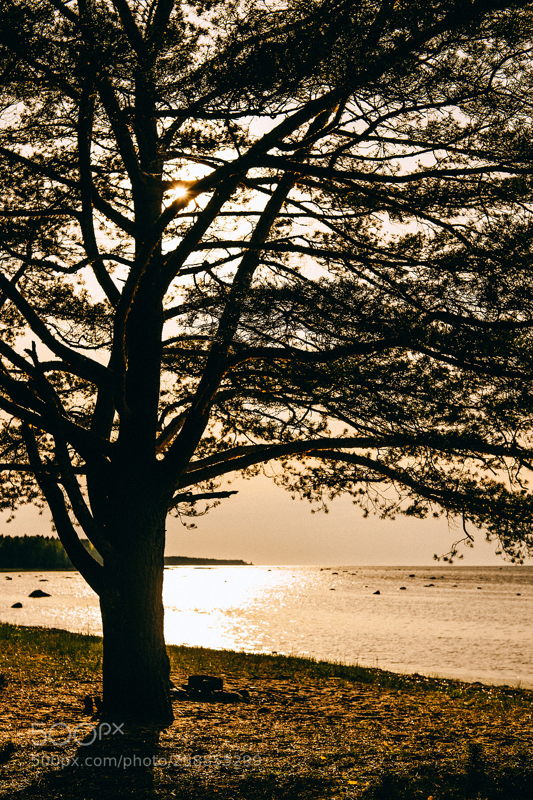 Fujifilm X-T1 sample photo. The gulf of finland photography