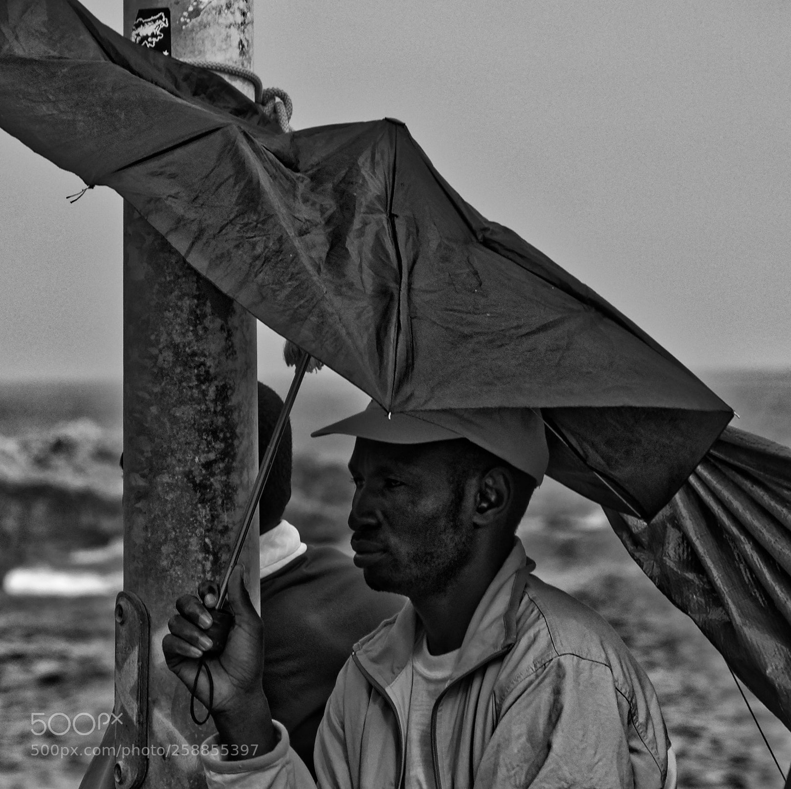 Nikon D7000 sample photo. 2014 migrating somewhere on photography