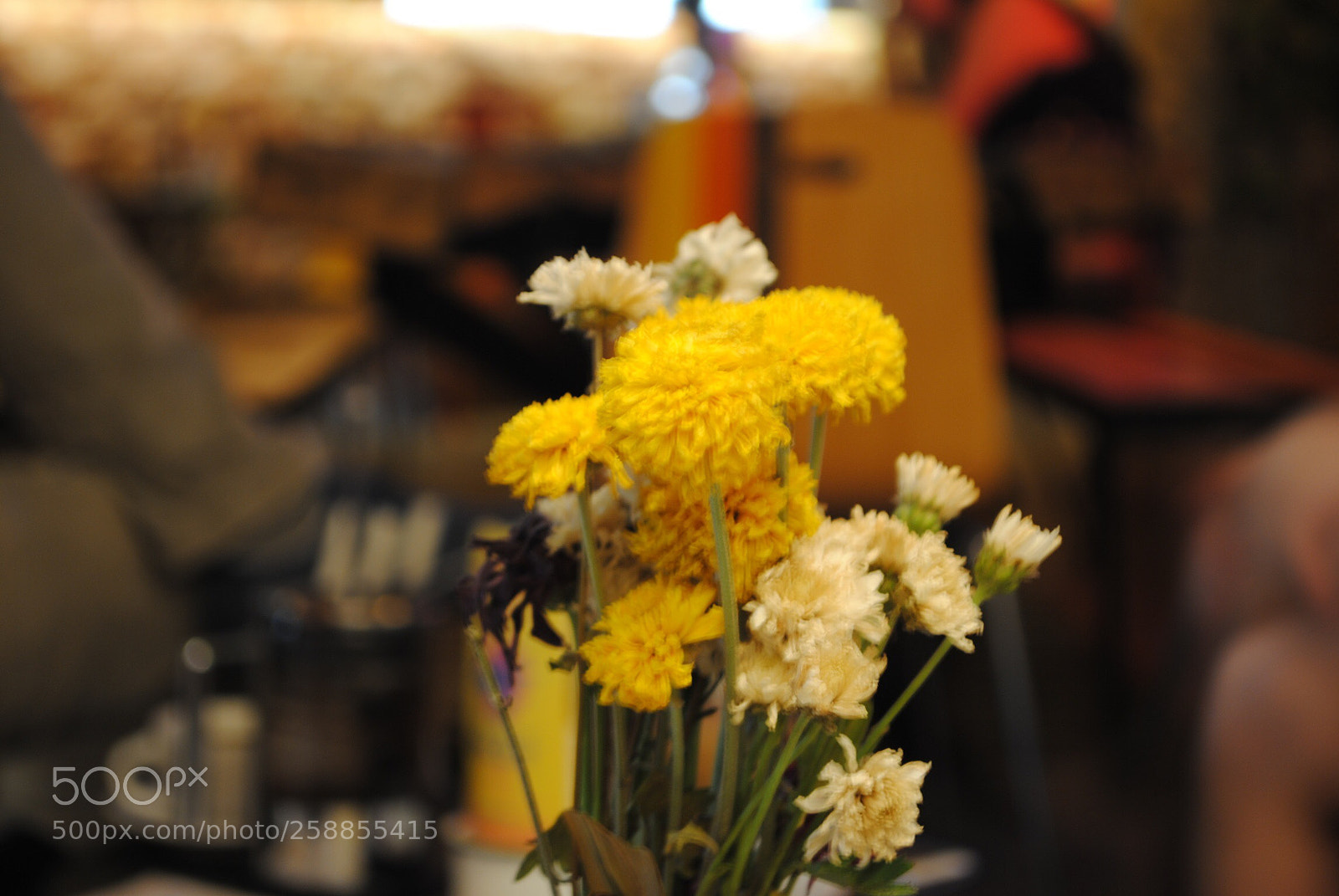 Nikon D3000 sample photo. The date photography