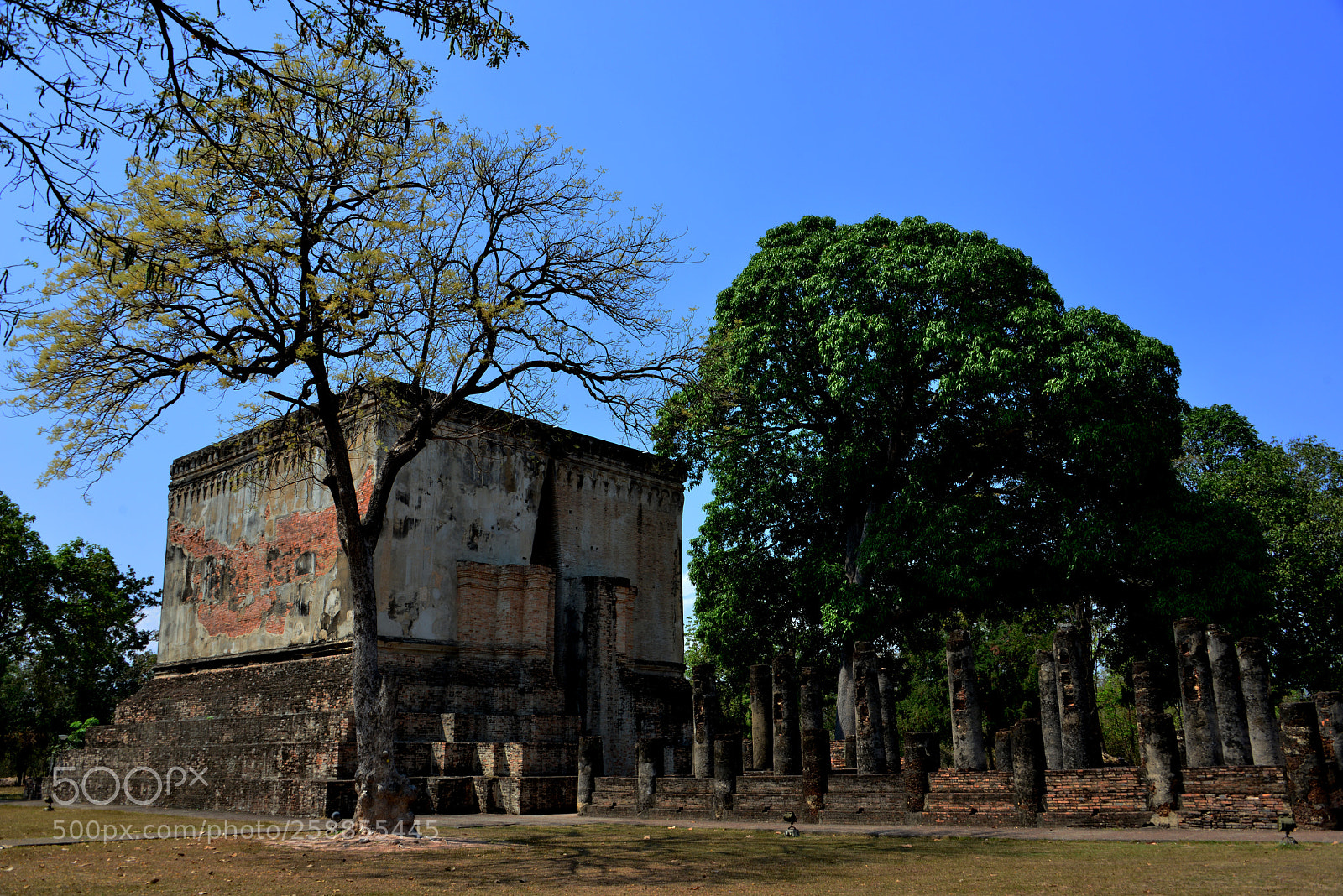Nikon D800 sample photo. Wat si chum photography