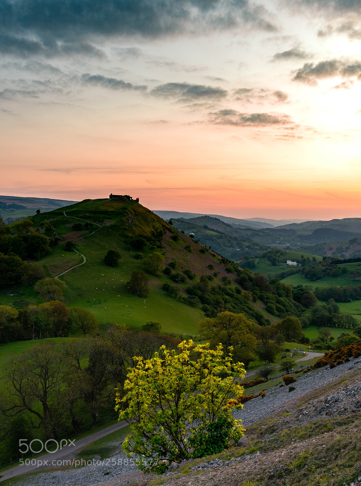 Nikon D750 sample photo. Castell dinas bran sunset photography