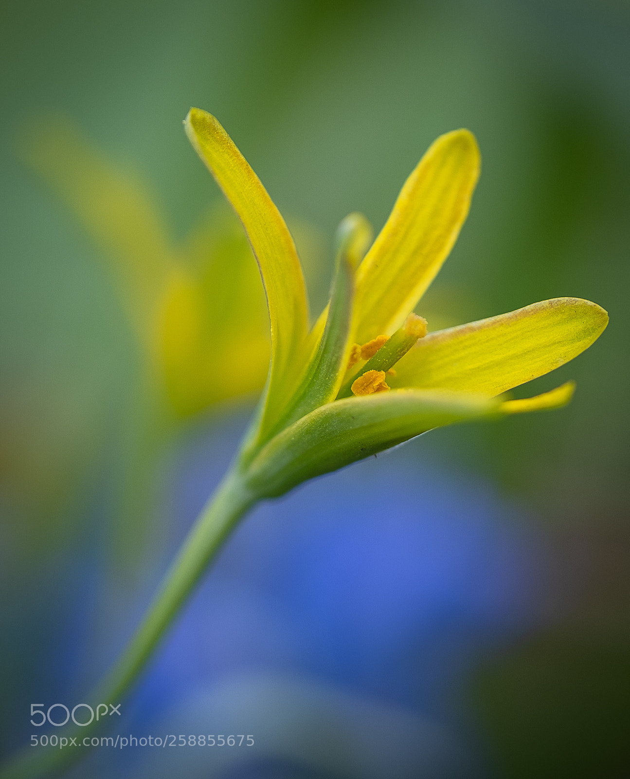 Fujifilm X-T2 sample photo. Edit photography
