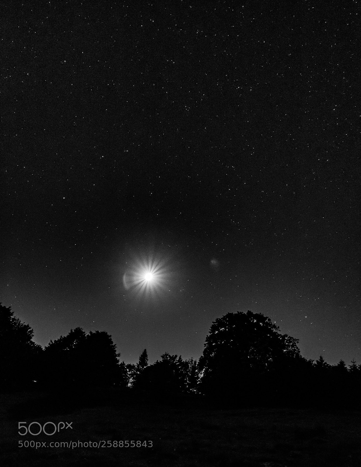 Canon EOS 6D sample photo. Moonlight photography