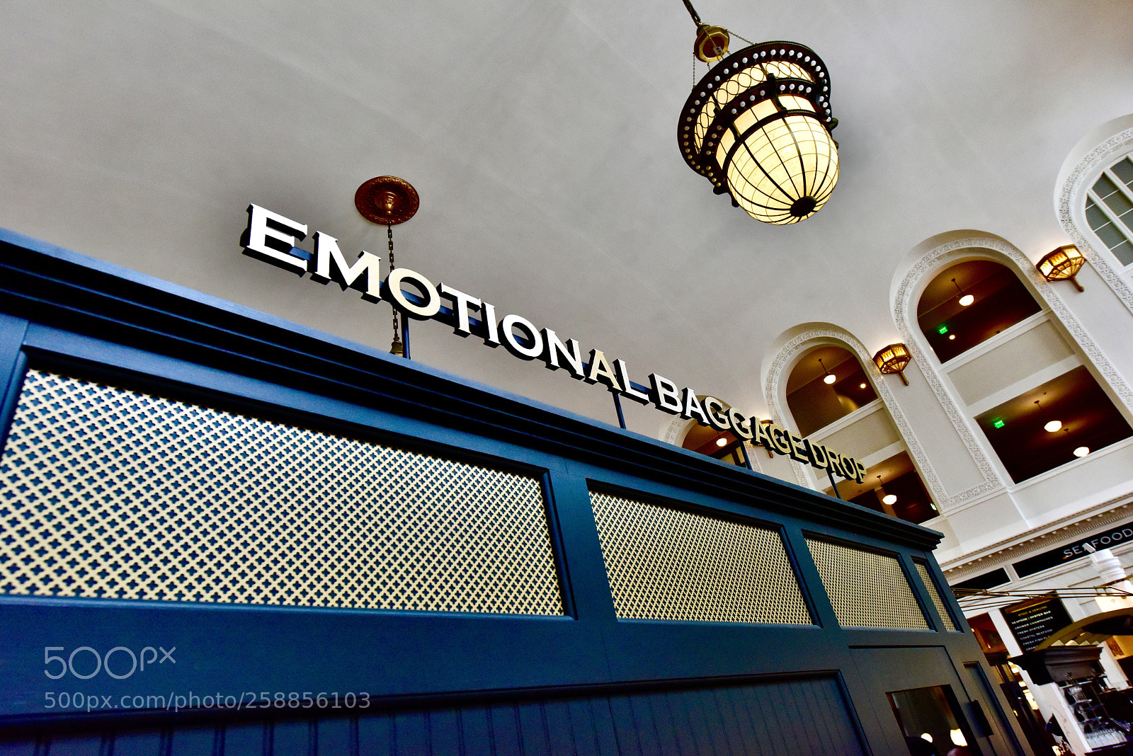 Nikon D810 sample photo. The quirky emotional baggage photography