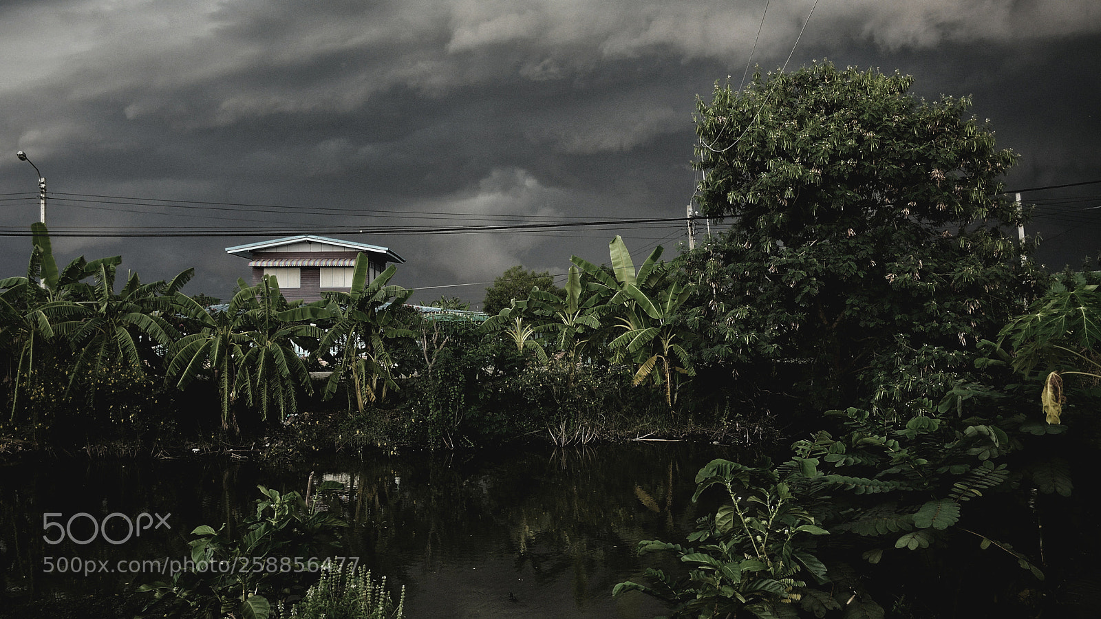 Nikon D5200 sample photo. Today sky is dark photography