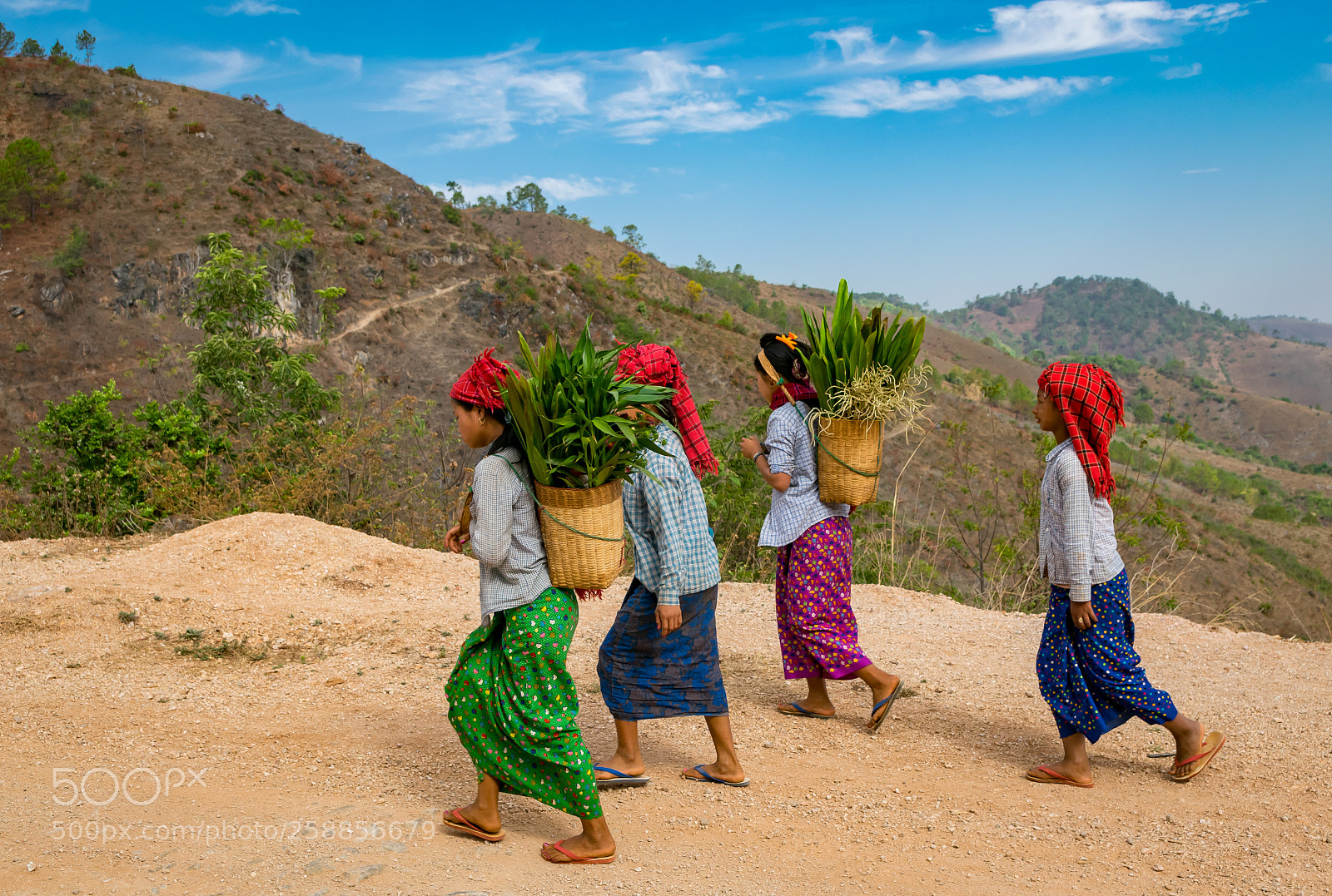 Nikon D5300 sample photo. Ladies at work photography