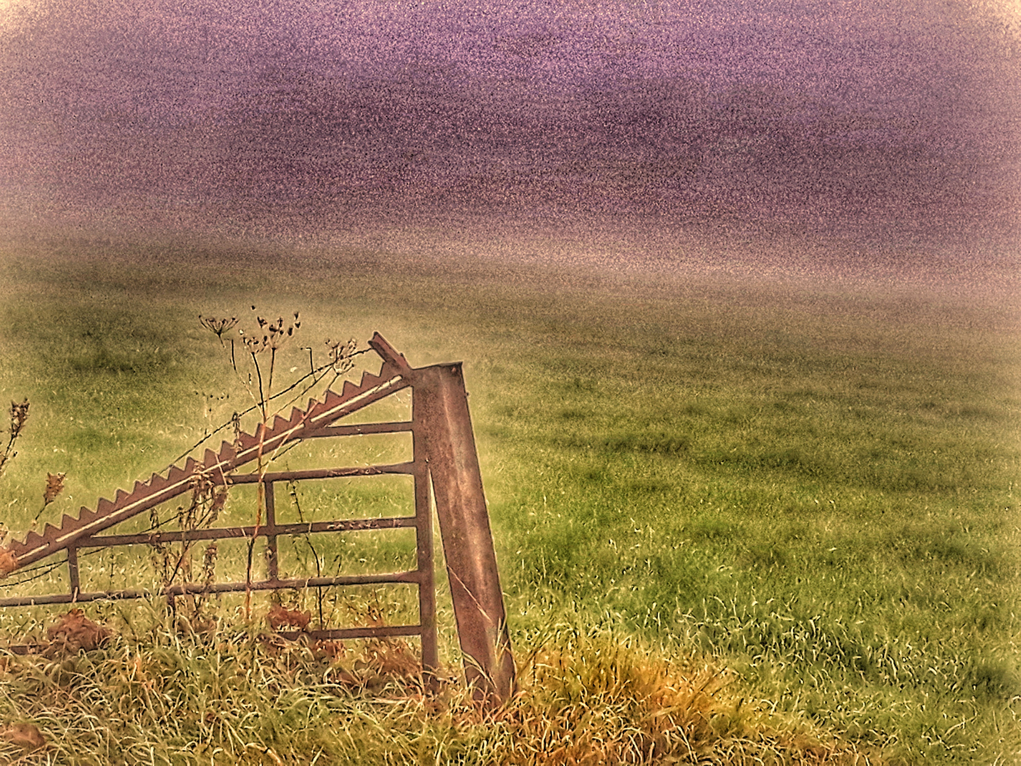 Samsung Galaxy A3(2017) sample photo. Fence in grassland photography