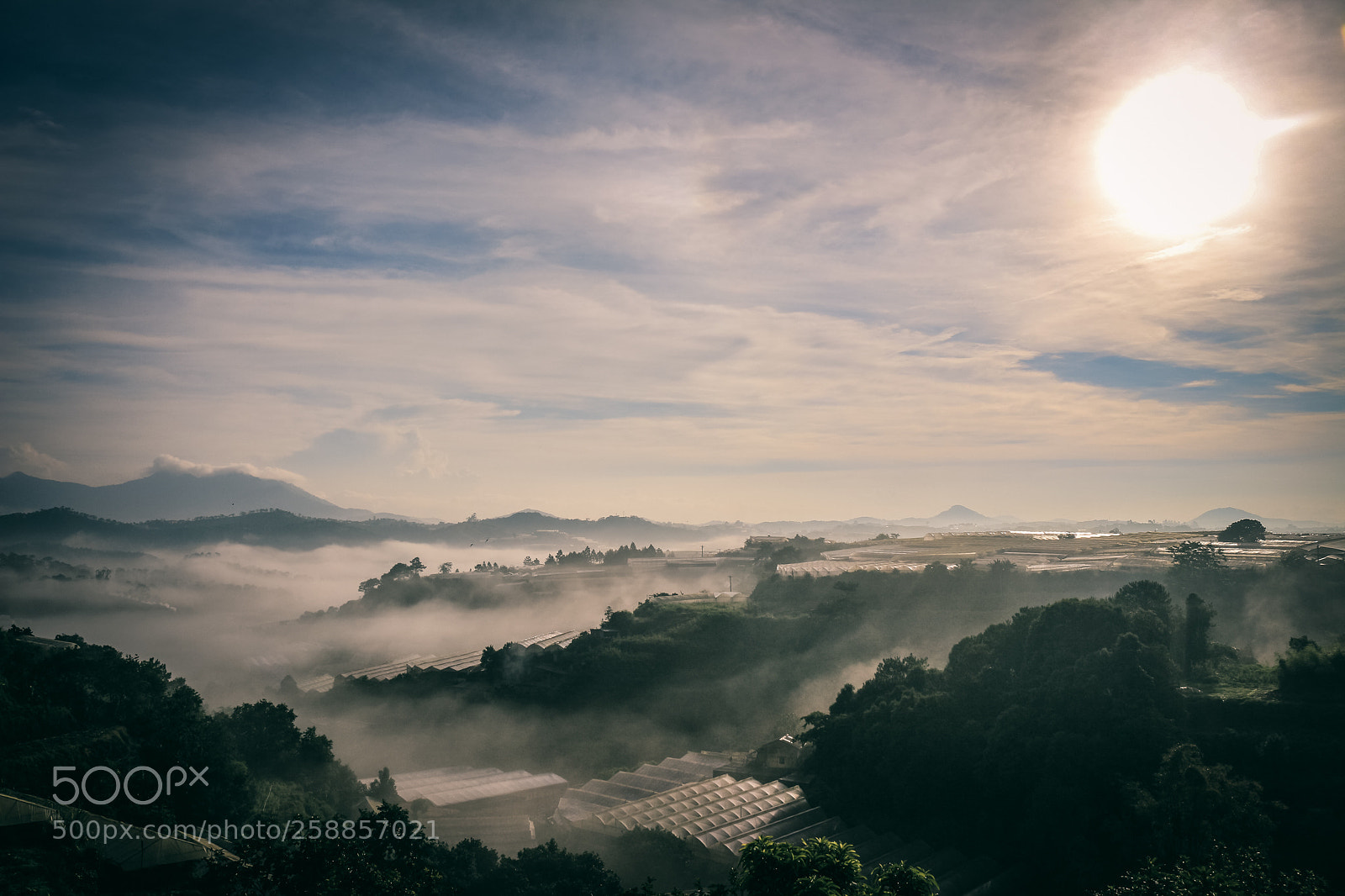 Canon EOS 700D (EOS Rebel T5i / EOS Kiss X7i) sample photo. Mist of da lat photography