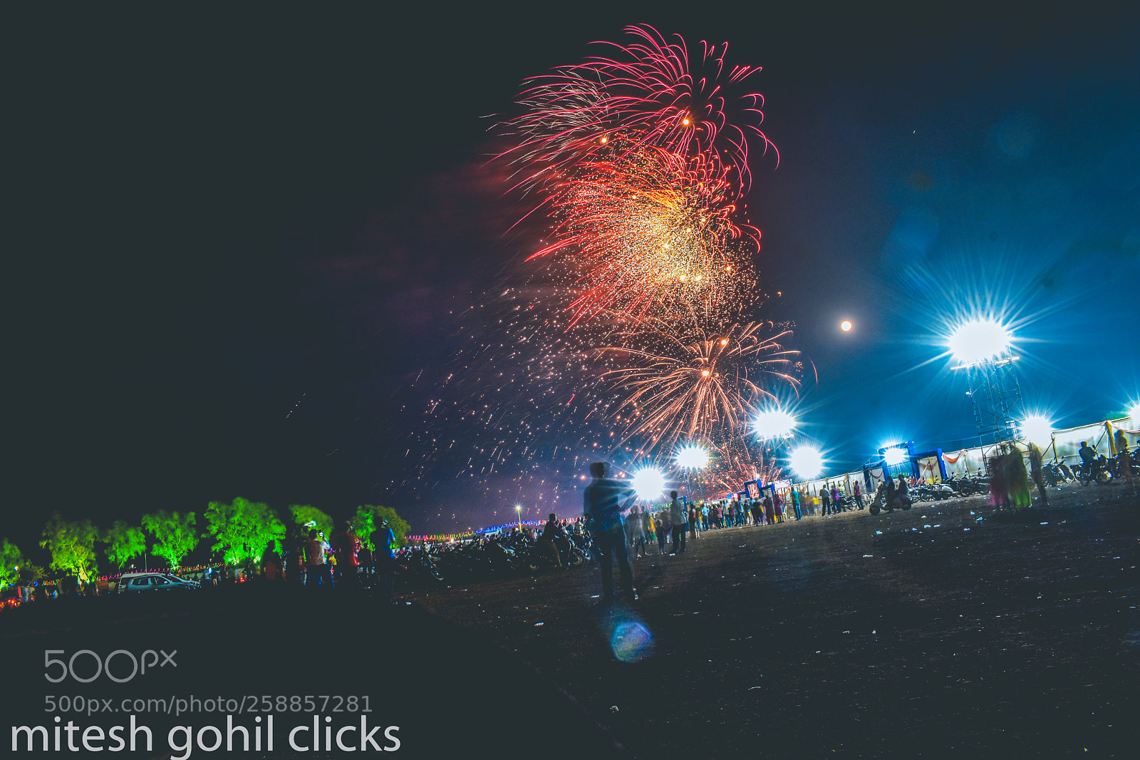Nikon D5500 sample photo. Untitled photography