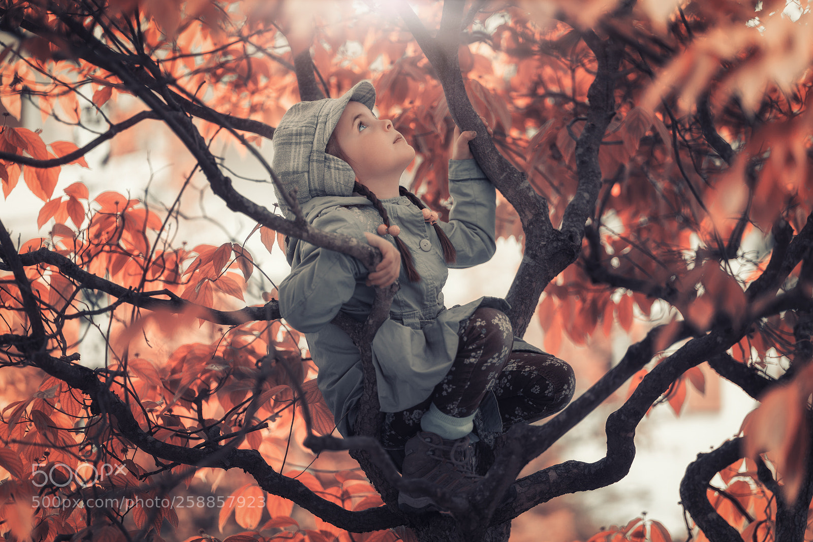 Sony a7R III sample photo. Yuna in her tree photography
