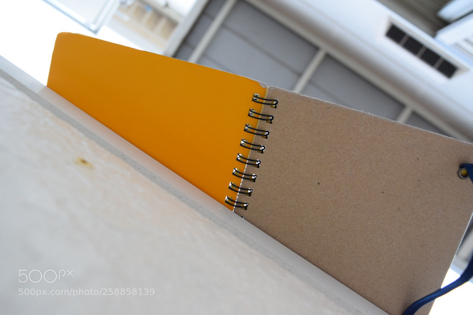 Nikon D5300 sample photo. Untitled photography