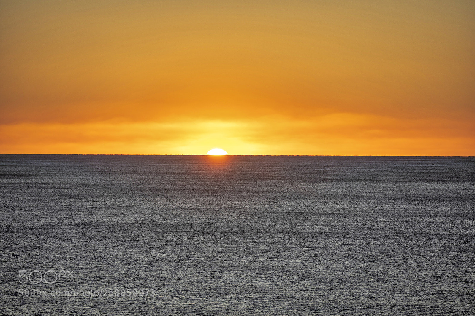 Canon EOS 5D Mark IV sample photo. Golden hours photography