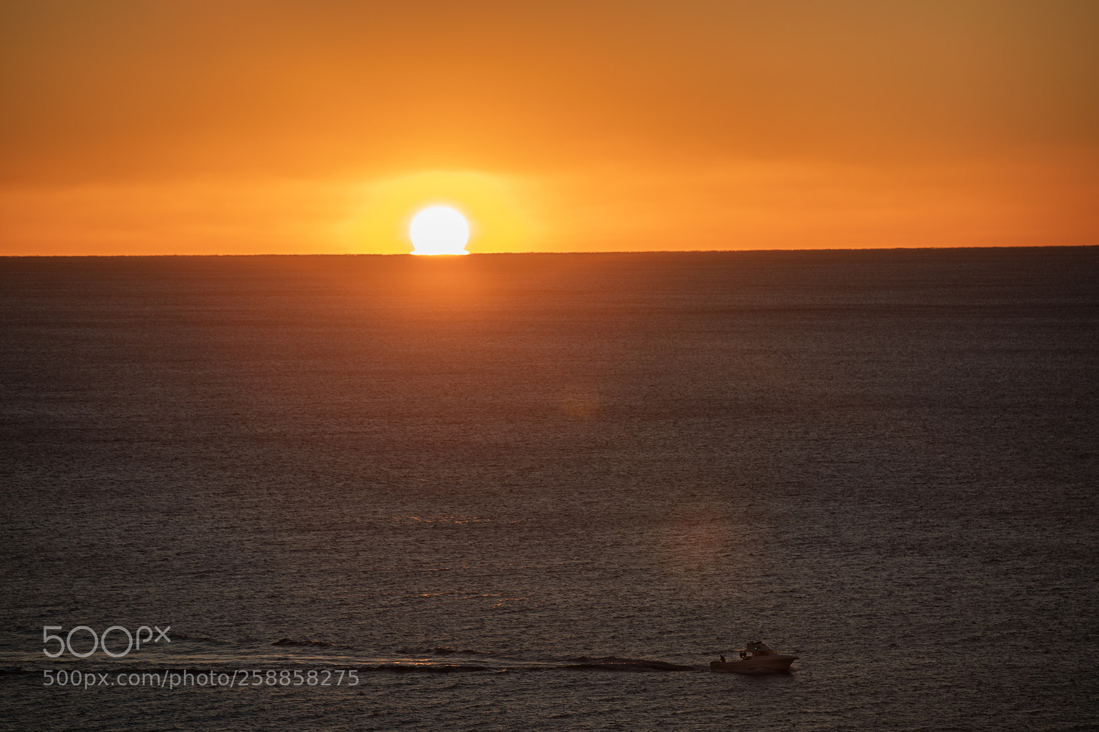 Canon EOS 5D Mark IV sample photo. Golden hours photography