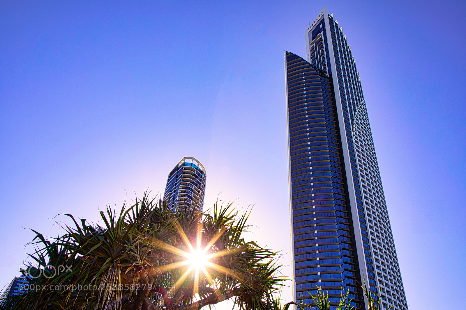 Canon EOS 5D Mark IV sample photo. Standing tall photography