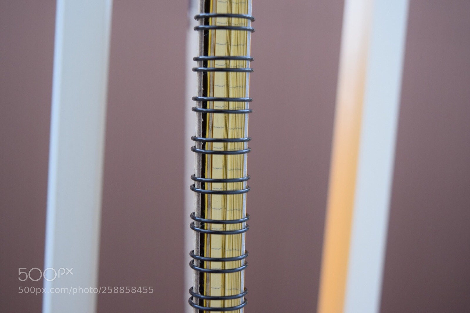 Nikon D5300 sample photo. Untitled photography