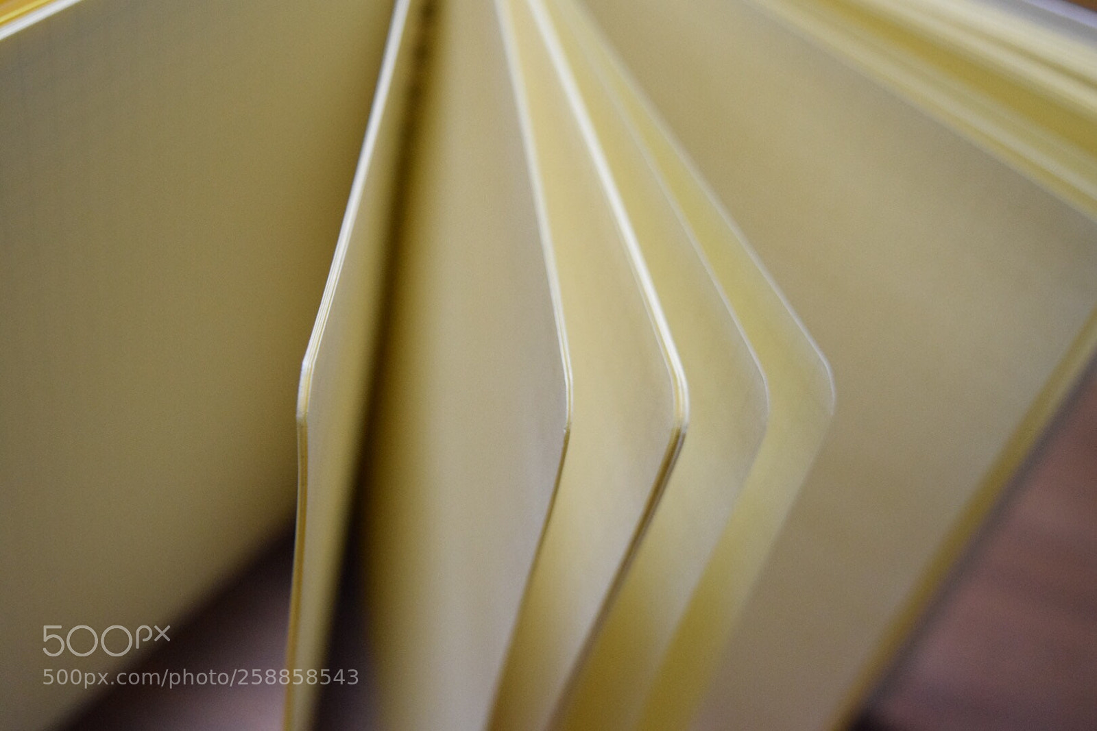 Nikon D5300 sample photo. Untitled photography
