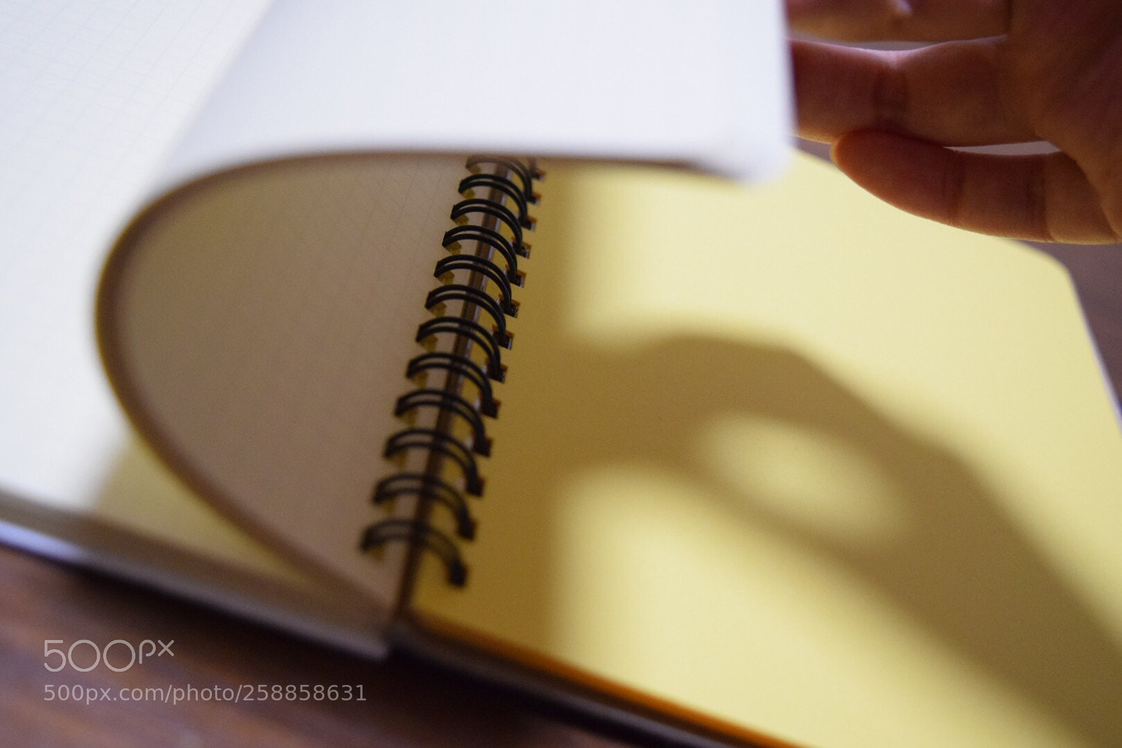 Nikon D5300 sample photo. Untitled photography