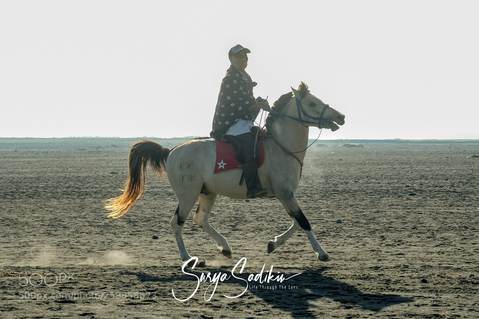 Fujifilm X-T20 sample photo. Horse tail photography