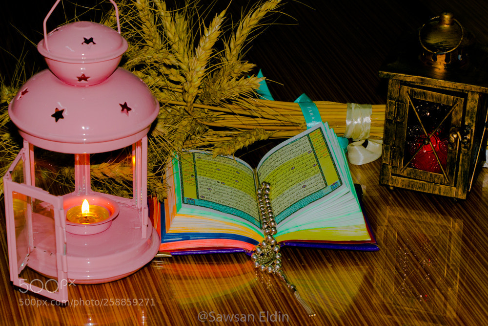 Canon EOS 70D sample photo. Untitled photography