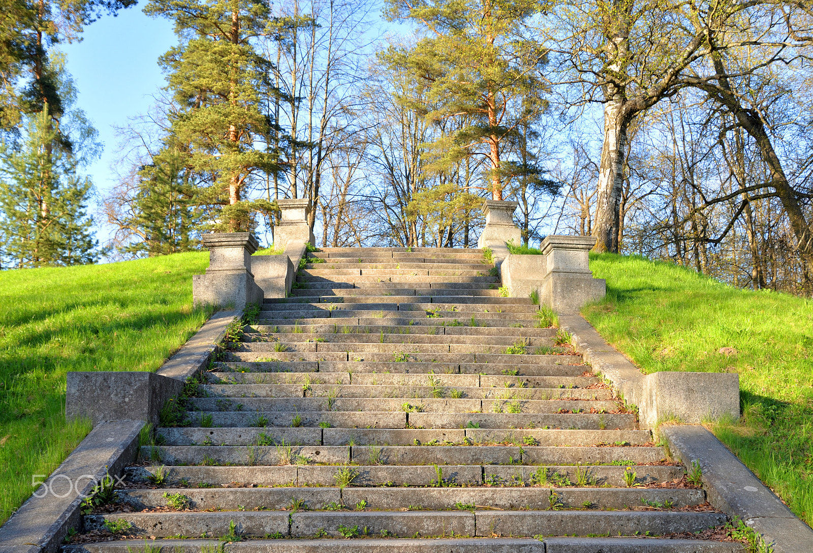Nikon D610 sample photo. Old granite stairs in the park. photography