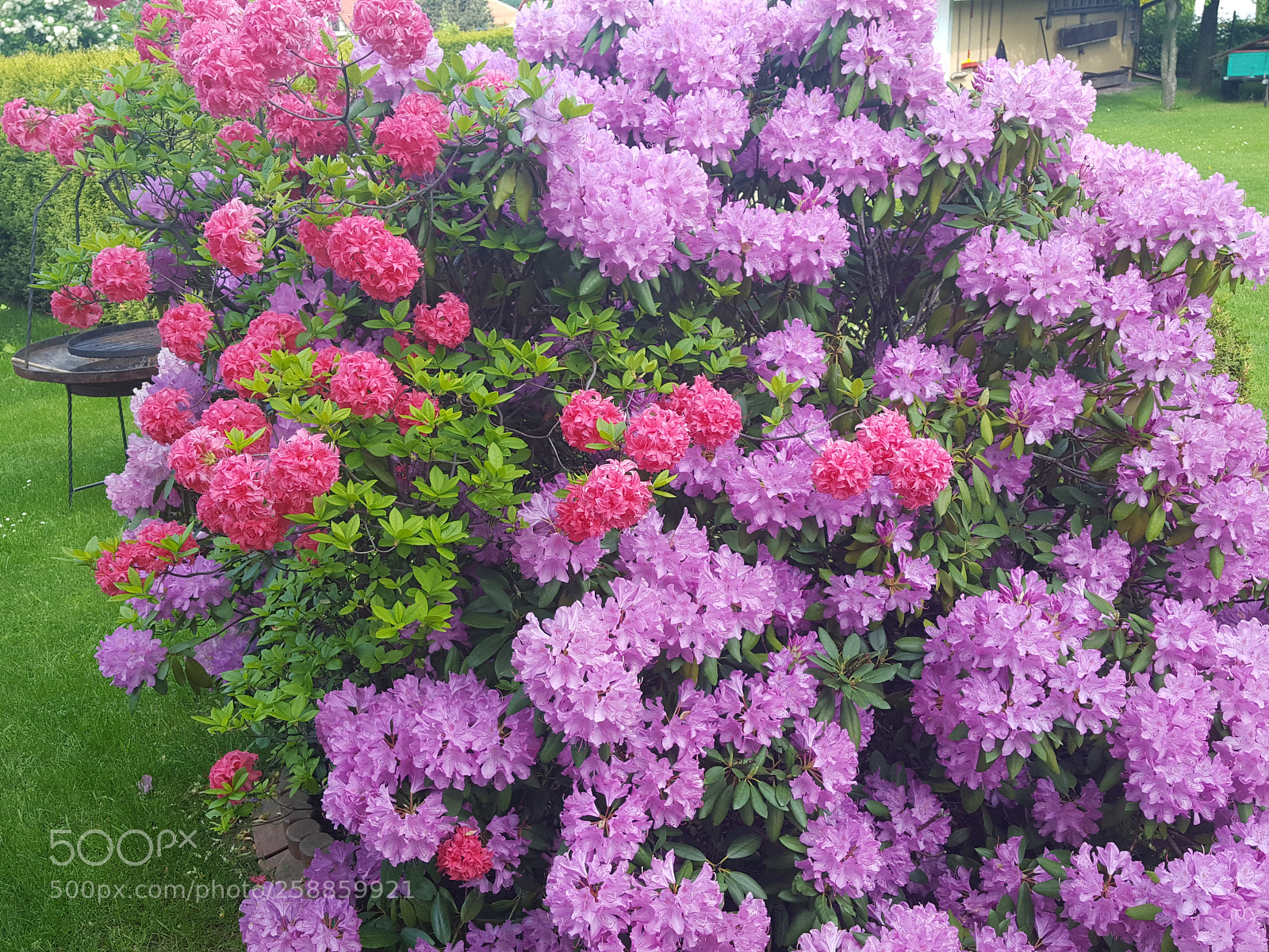 Samsung GALAXY S6 edge sample photo. Untitled photography