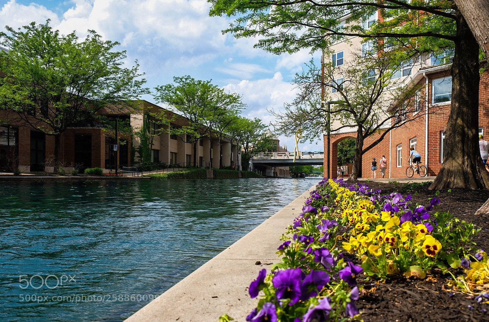 Fujifilm X-H1 sample photo. Flowers, canal walk, indy photography