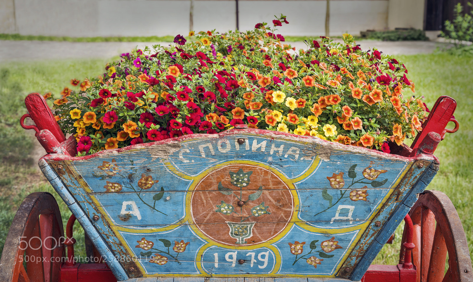 Nikon D810 sample photo. Flowers photography
