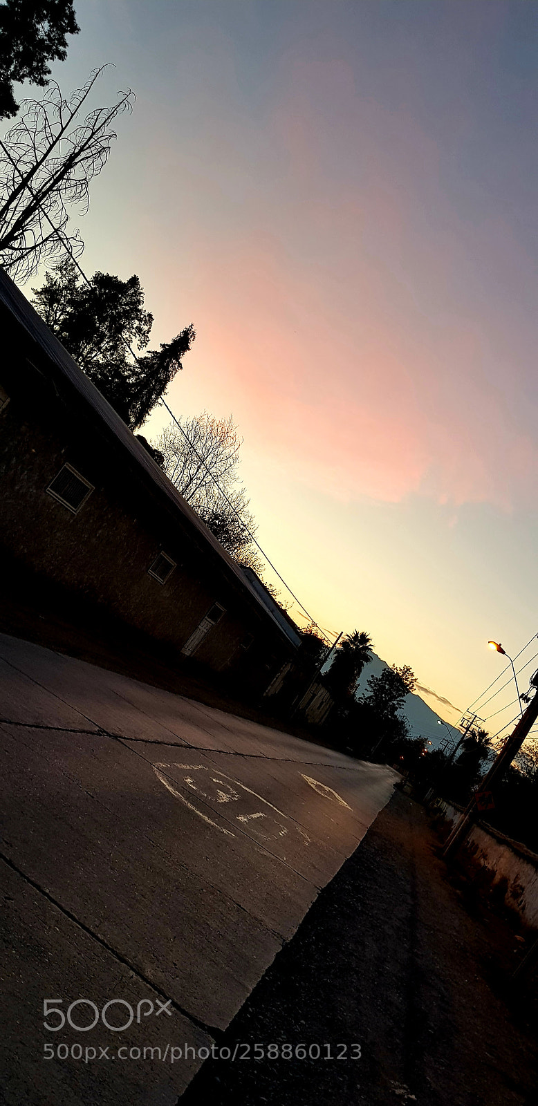 Samsung Galaxy S8+ sample photo. Untitled photography