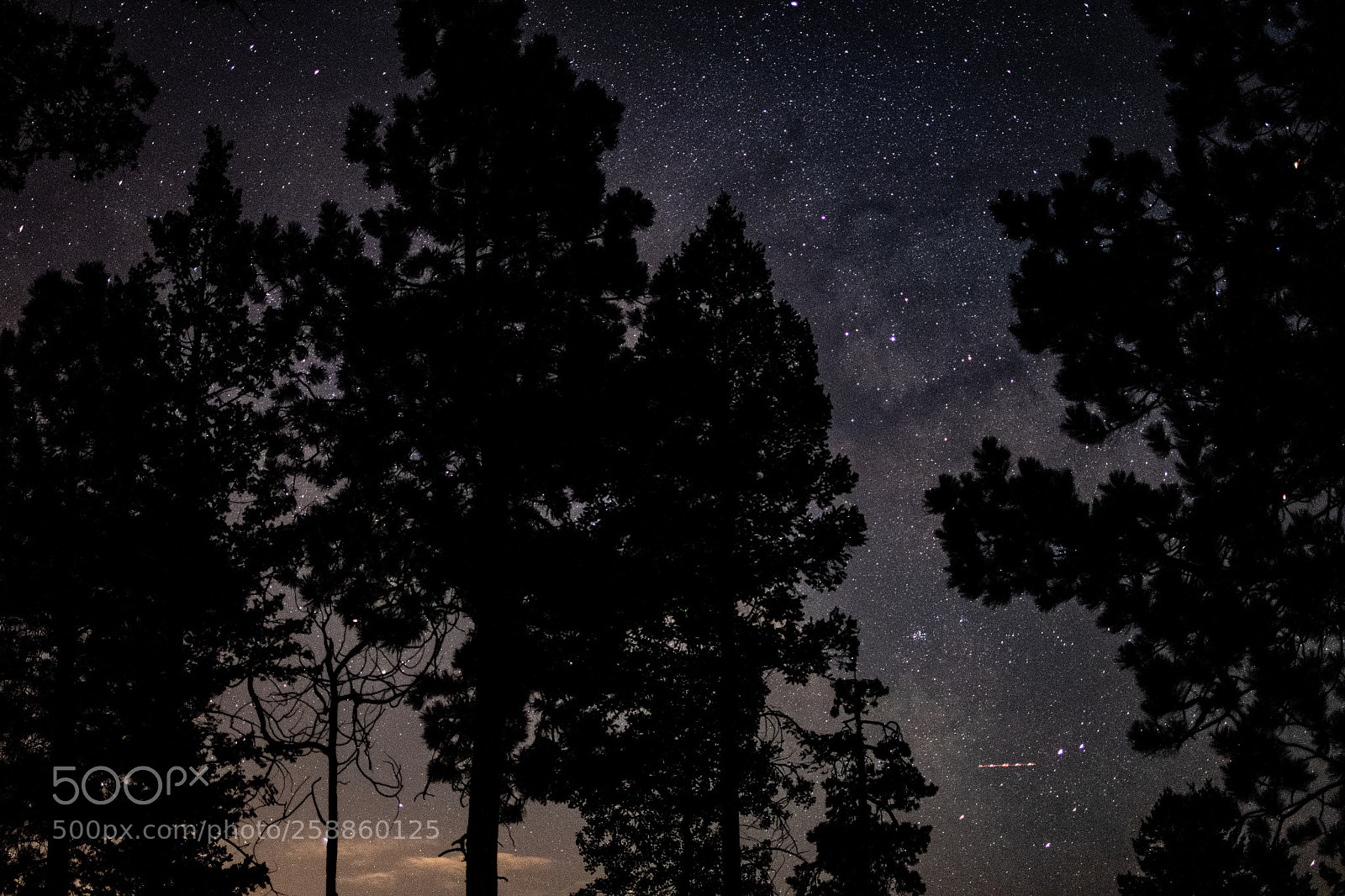 Nikon D500 sample photo. Day 7 of 365 photography