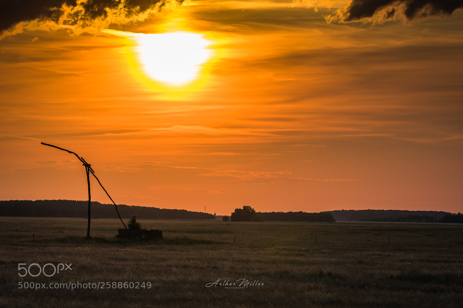 Nikon D500 sample photo. Made in hungary photography