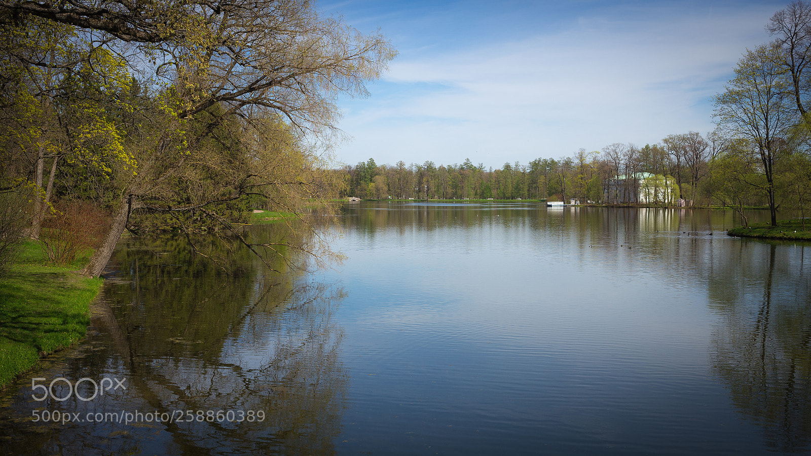 Canon EOS 6D sample photo. ... photography
