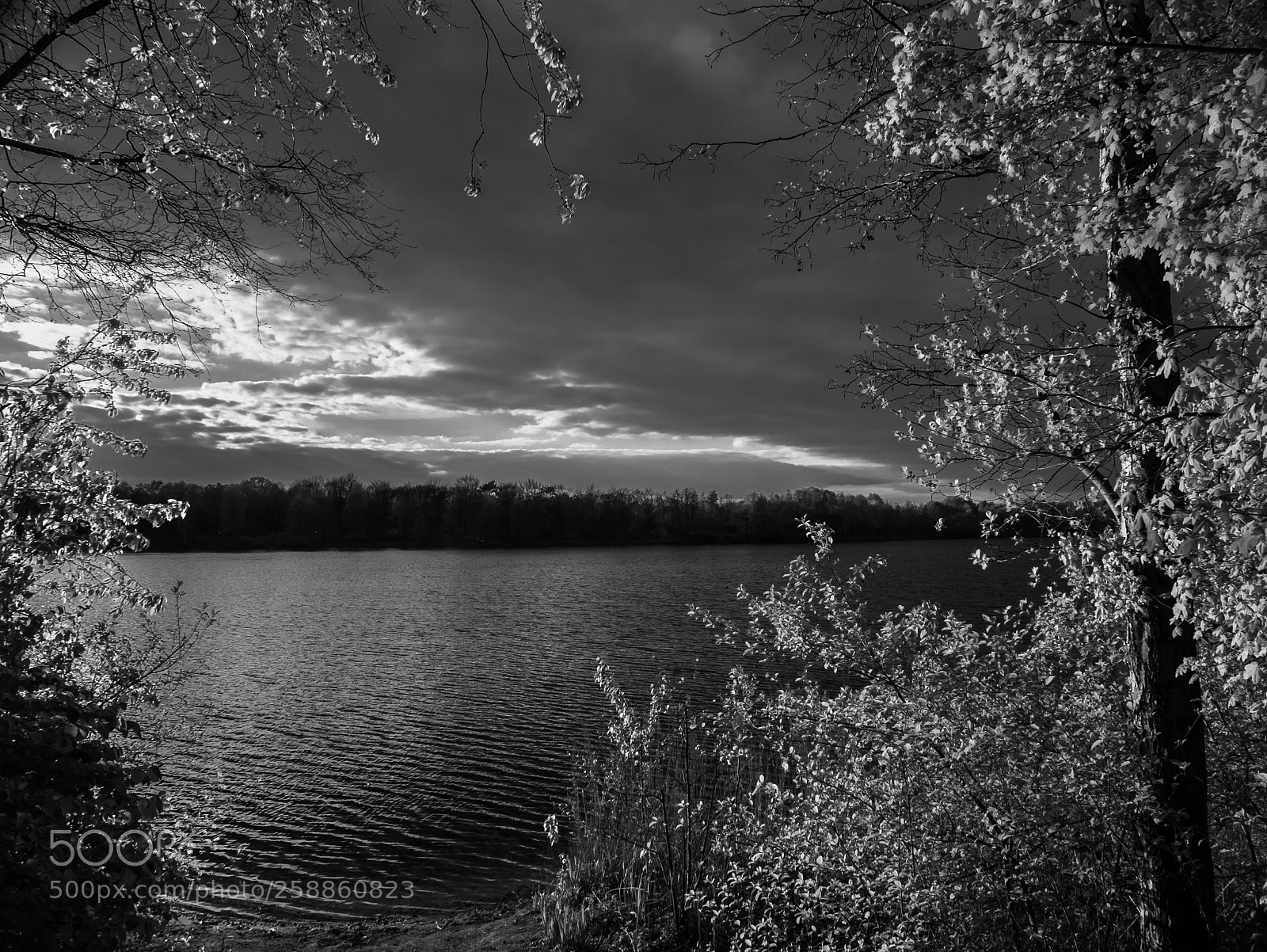 Panasonic Lumix DMC-LX100 sample photo. Heidesee abends photography