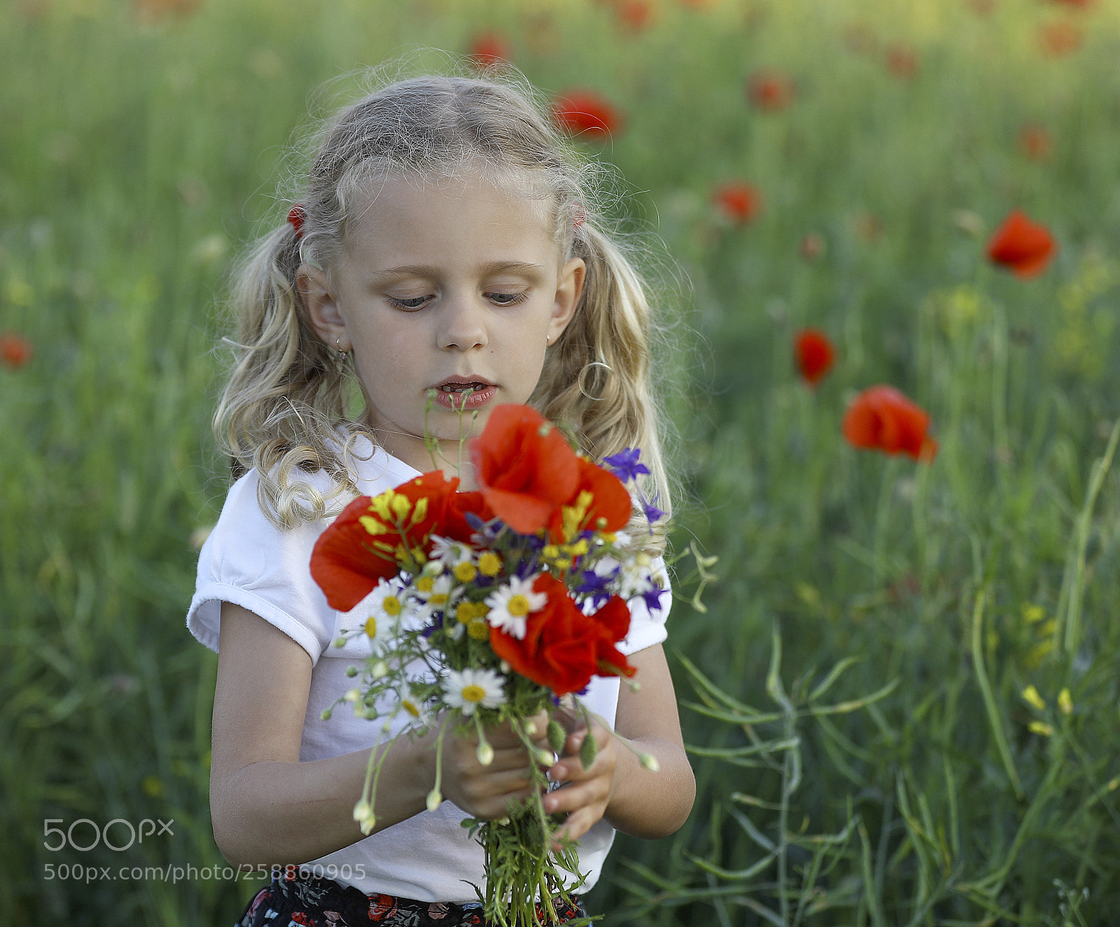 Canon EOS 5D Mark IV sample photo. Little girl  photography