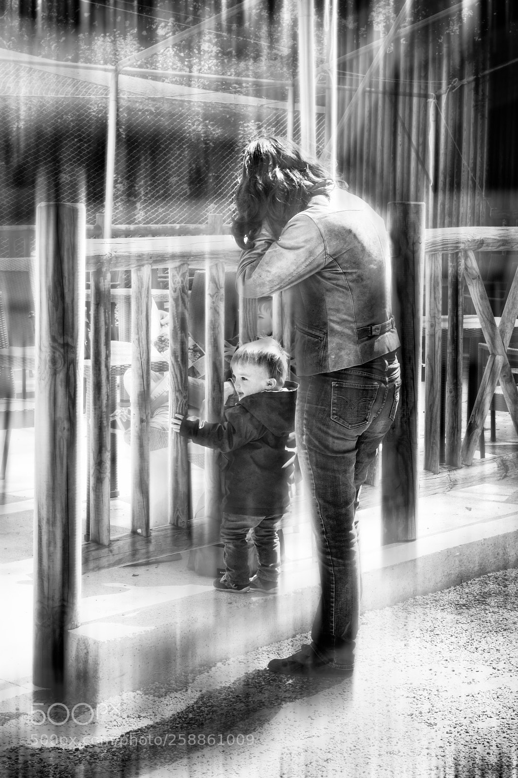 Nikon D7100 sample photo. Complicité photography