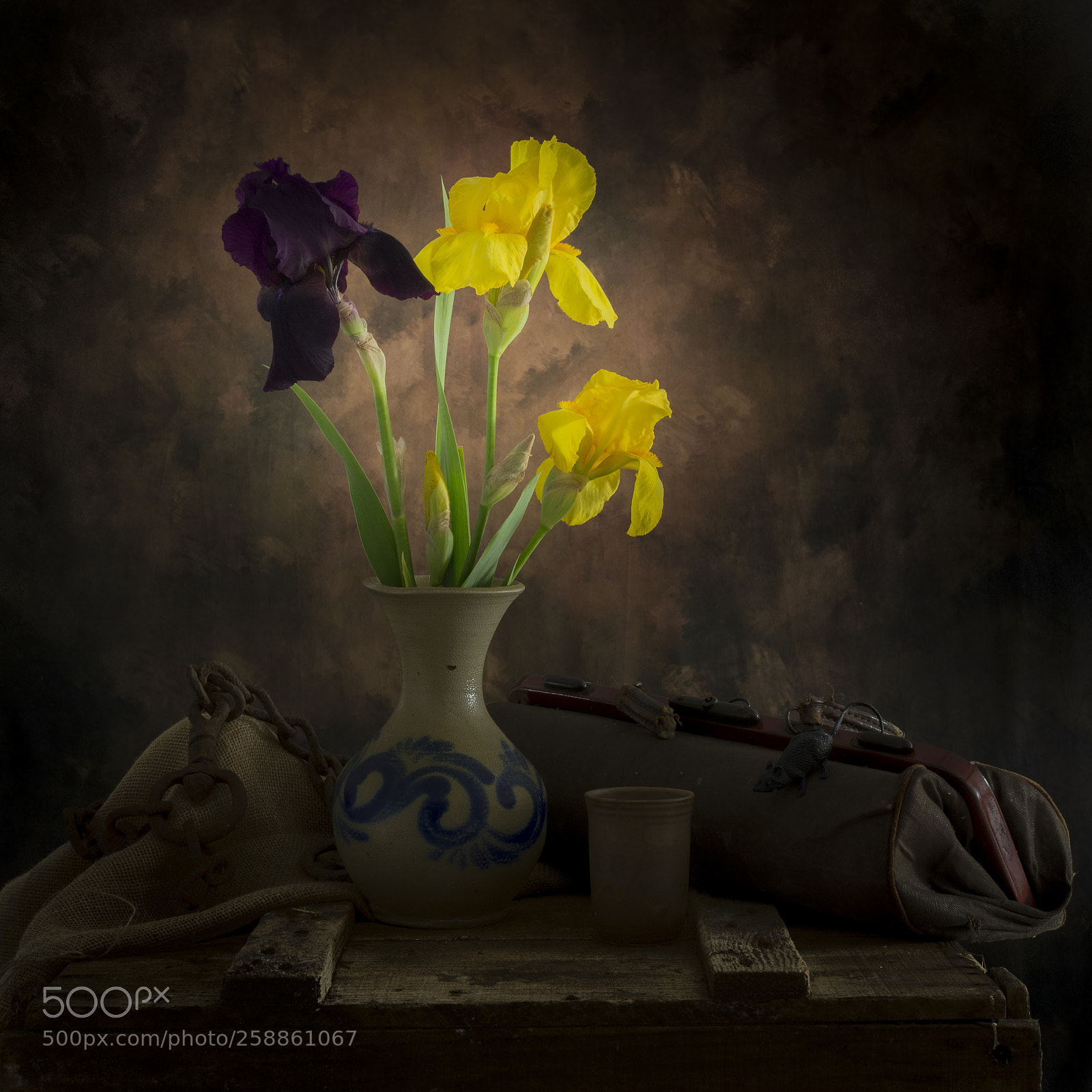 Nikon D600 sample photo. Iris photography